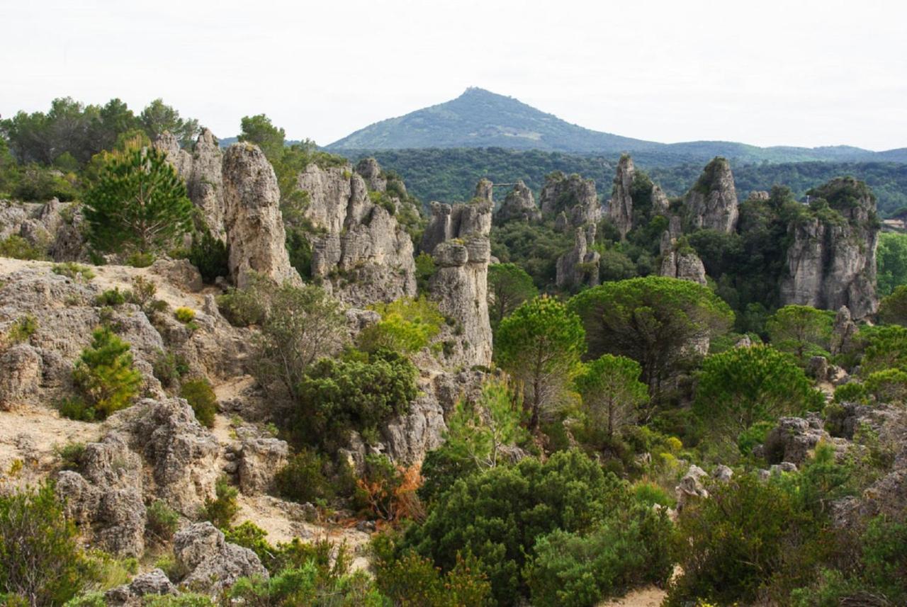 "Belle Etape"-Meuble De Tourisme 3 Etoiles -Residence "Les Logis De Beziers"-Garage Optionnel-Coeur De Ville-Plages A 16Km ! Buitenkant foto
