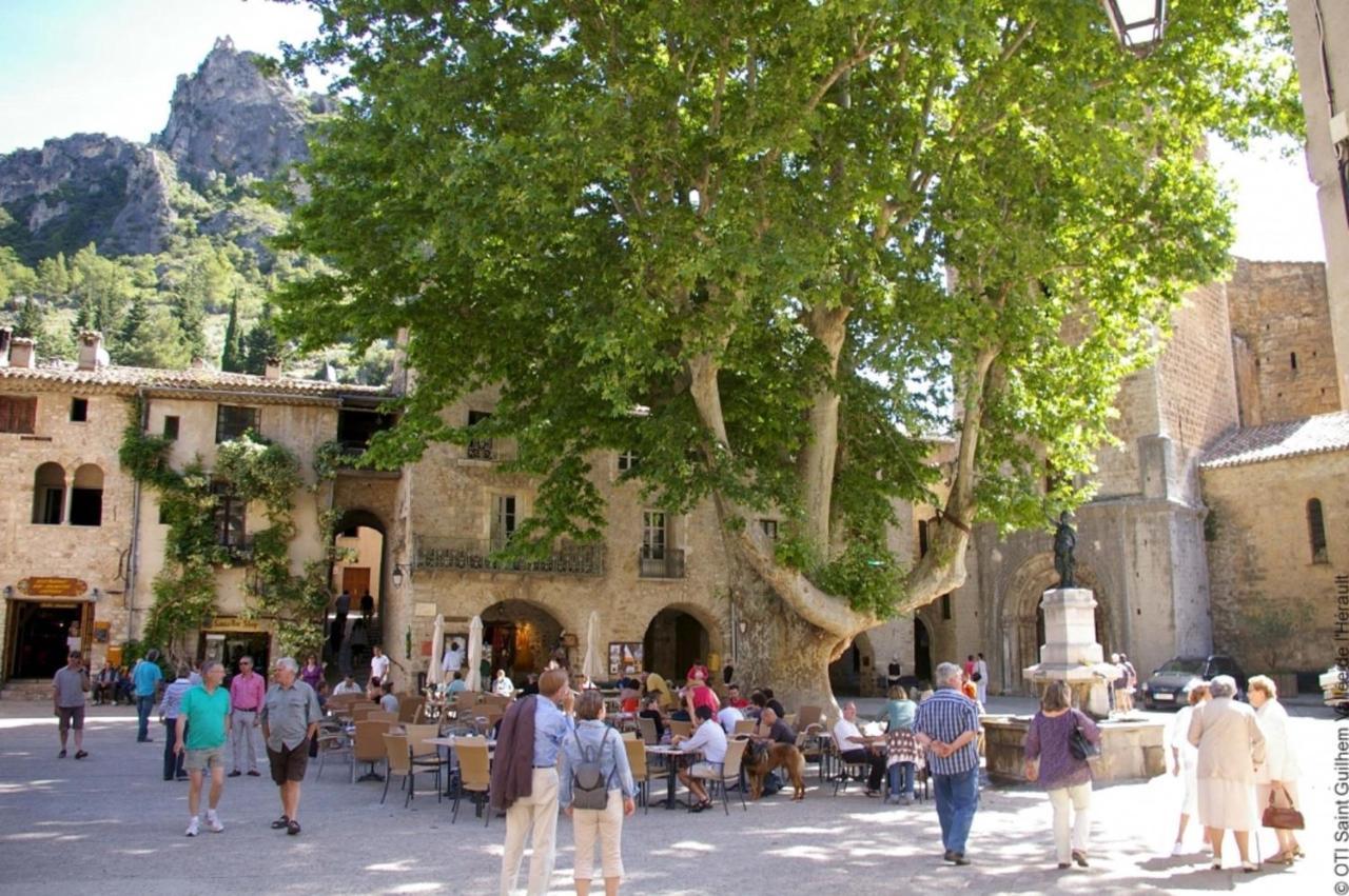"Belle Etape"-Meuble De Tourisme 3 Etoiles -Residence "Les Logis De Beziers"-Garage Optionnel-Coeur De Ville-Plages A 16Km ! Buitenkant foto